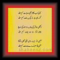 Mubashar Saeed Mubashar 02 * 22.03.2008 * 341 x 962 * (49KB)